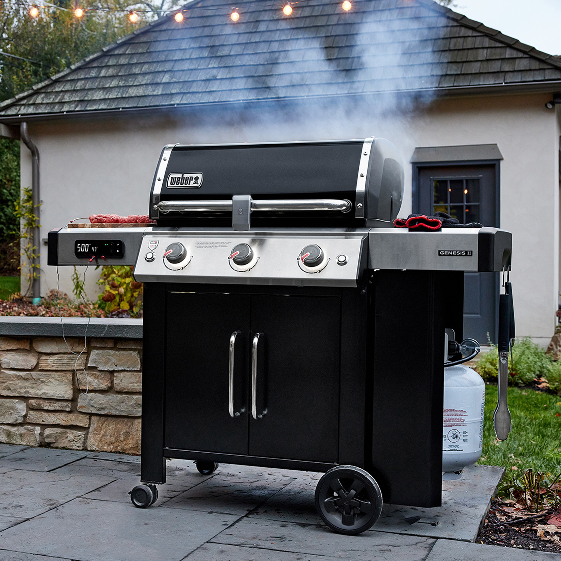 Genesis Ii Ex Smart Grill Smart Series Gas Grills Weber Grills