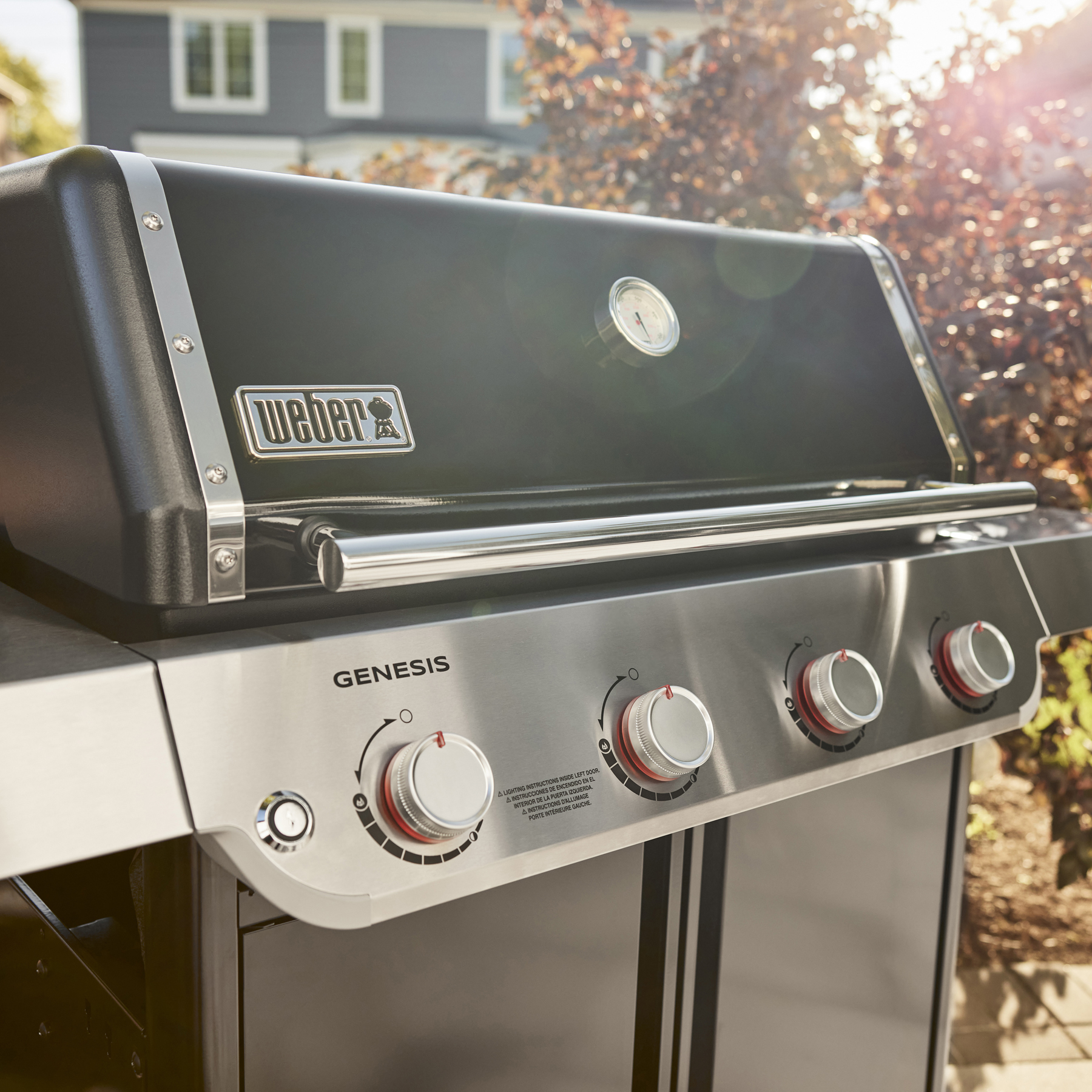 Weber 2 outlet burner genesis