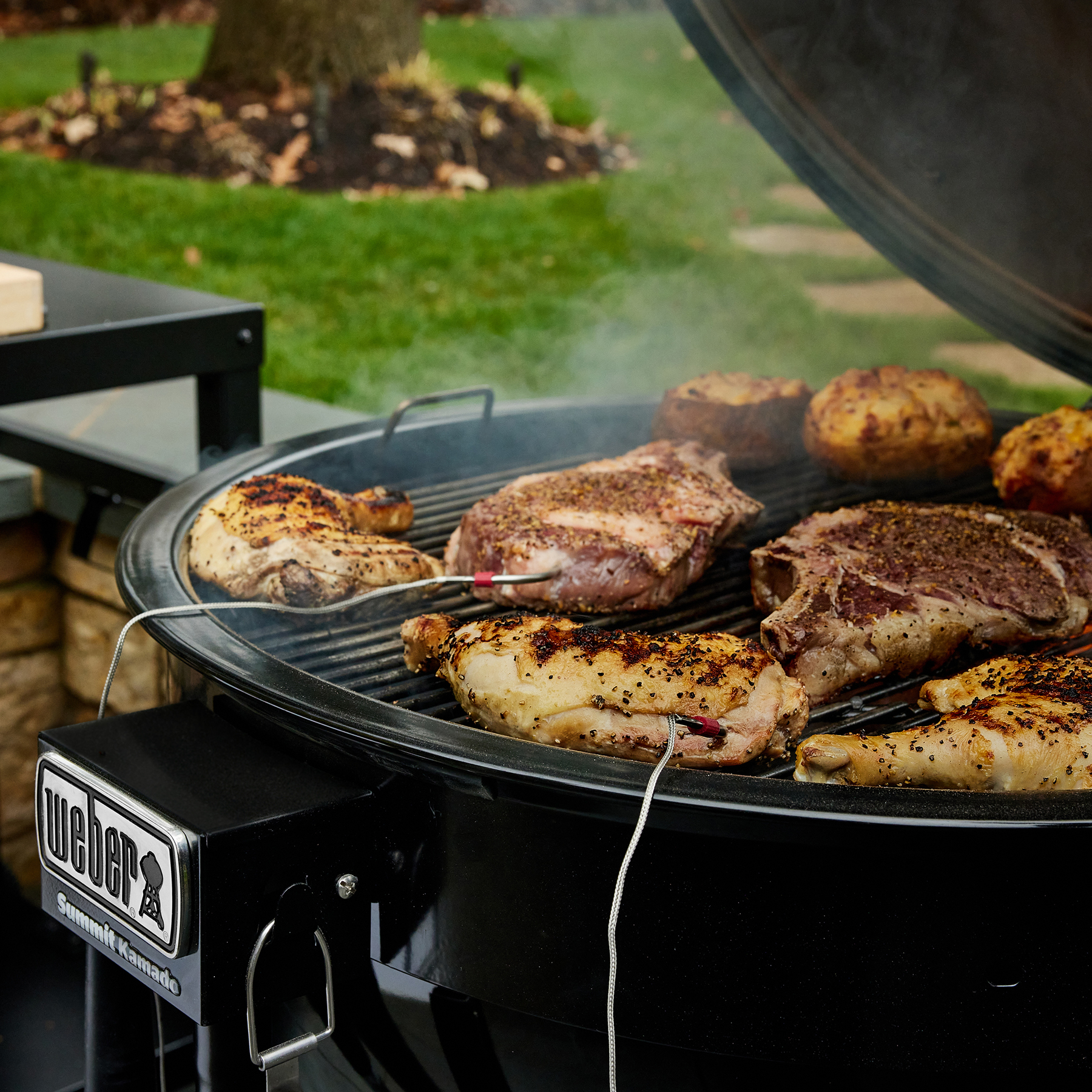 Charcoal 2024 kamado grill