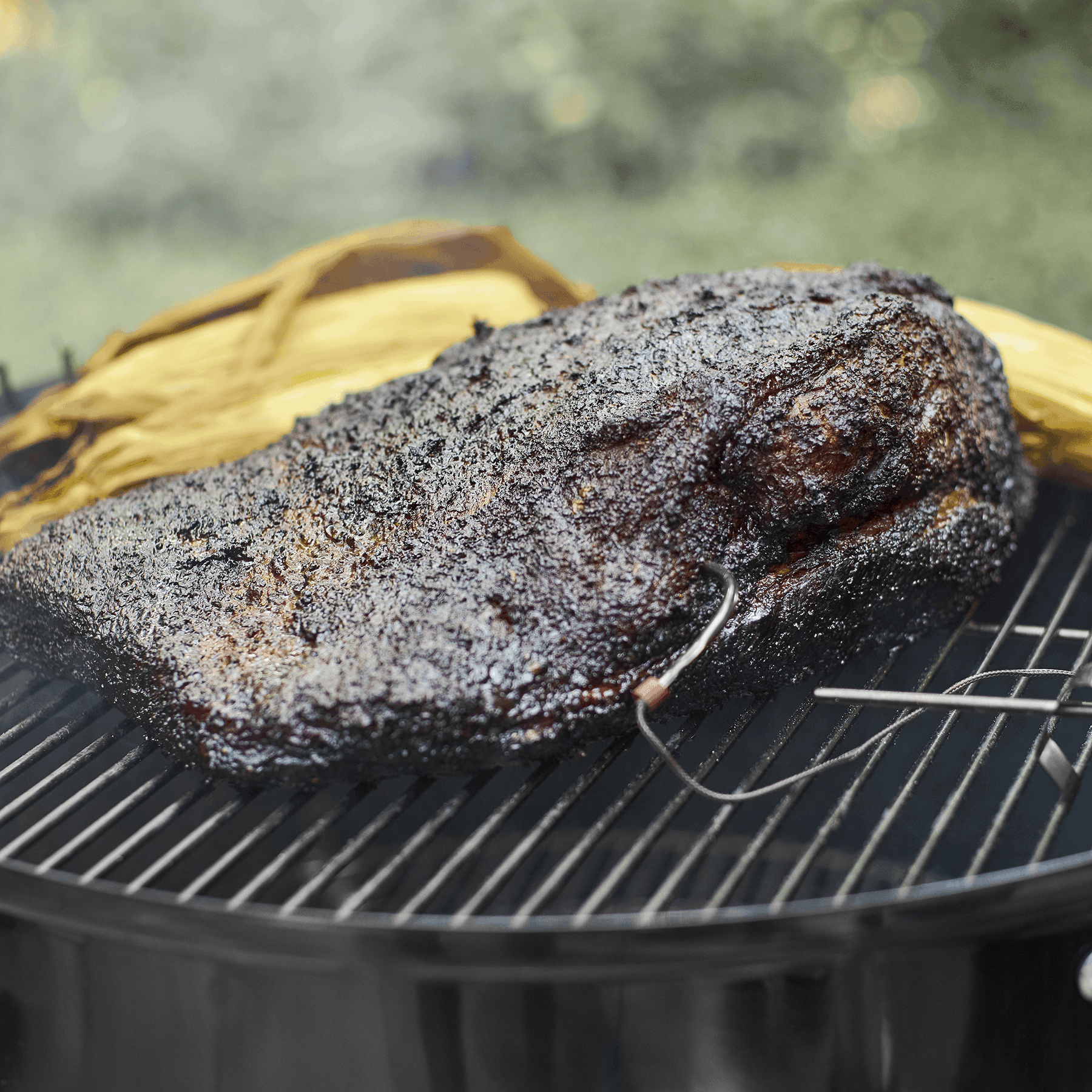 smoked salmon weber smokey mountain