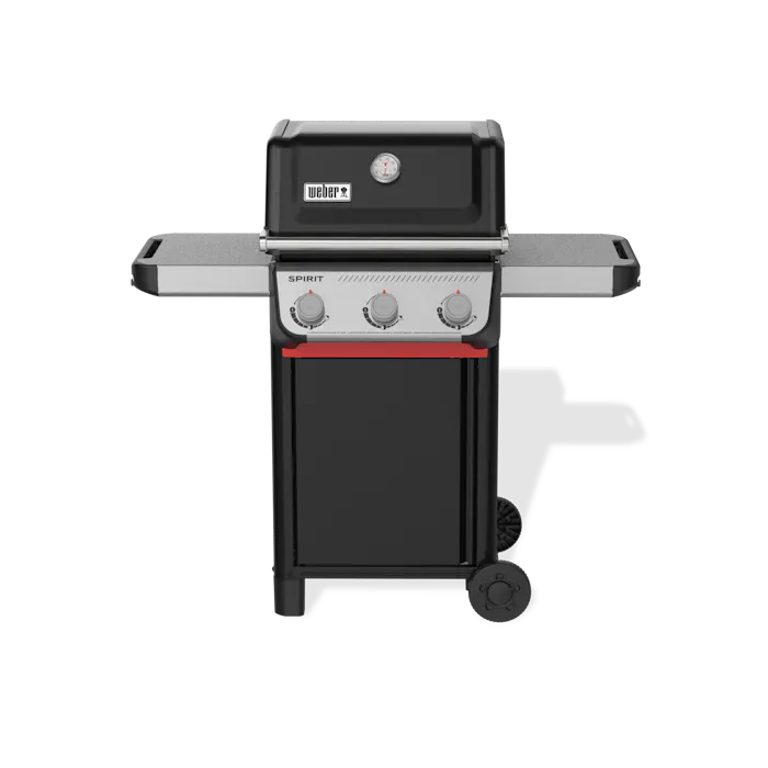 Spirit® E-310