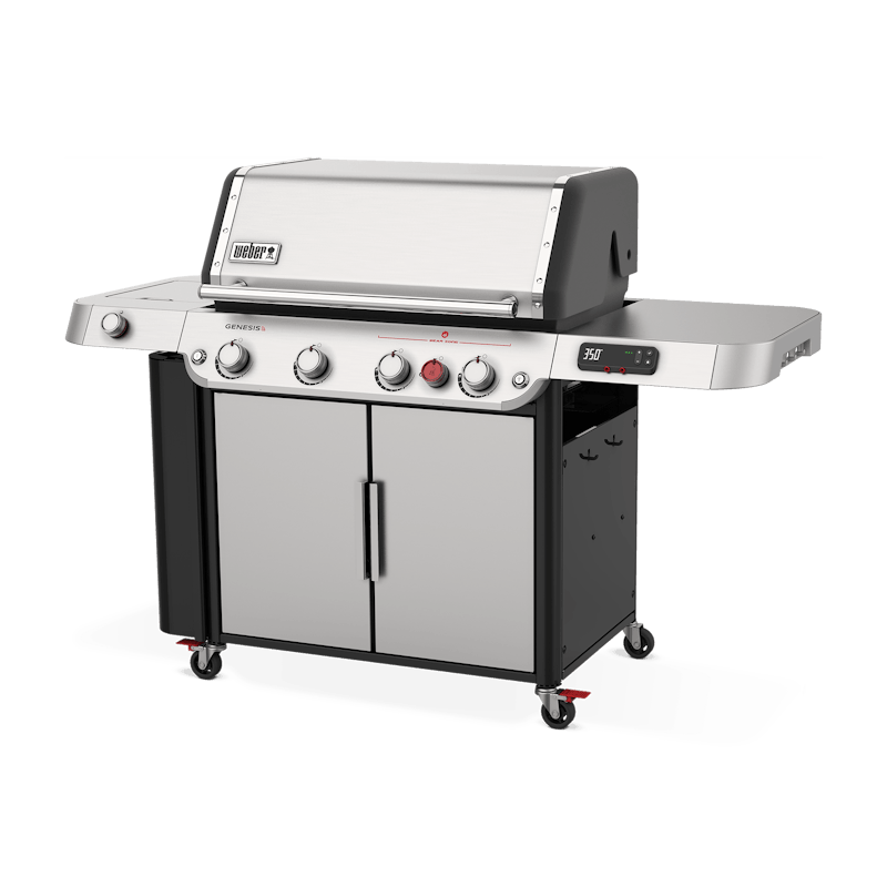 Cleaning Stainless Steel - The Virtual Weber Gas Grill