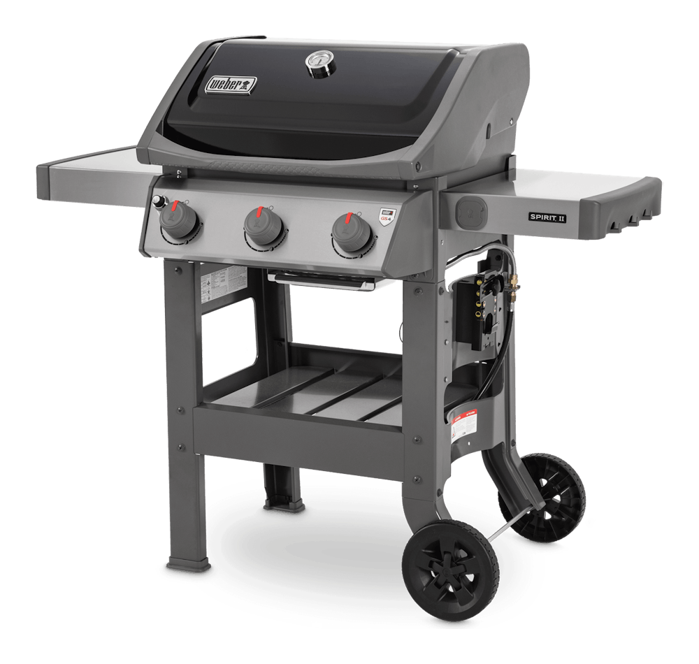 weber 310 spirit 2