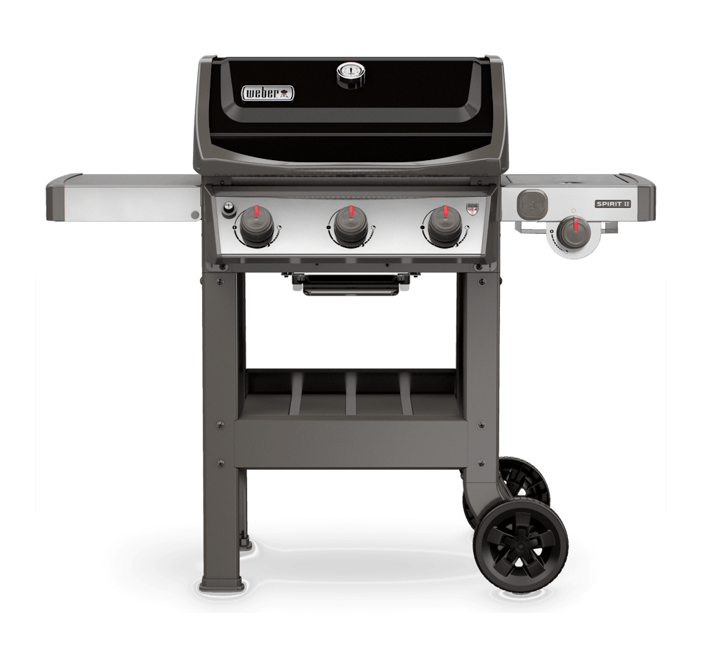 Weber grill sales with side burner