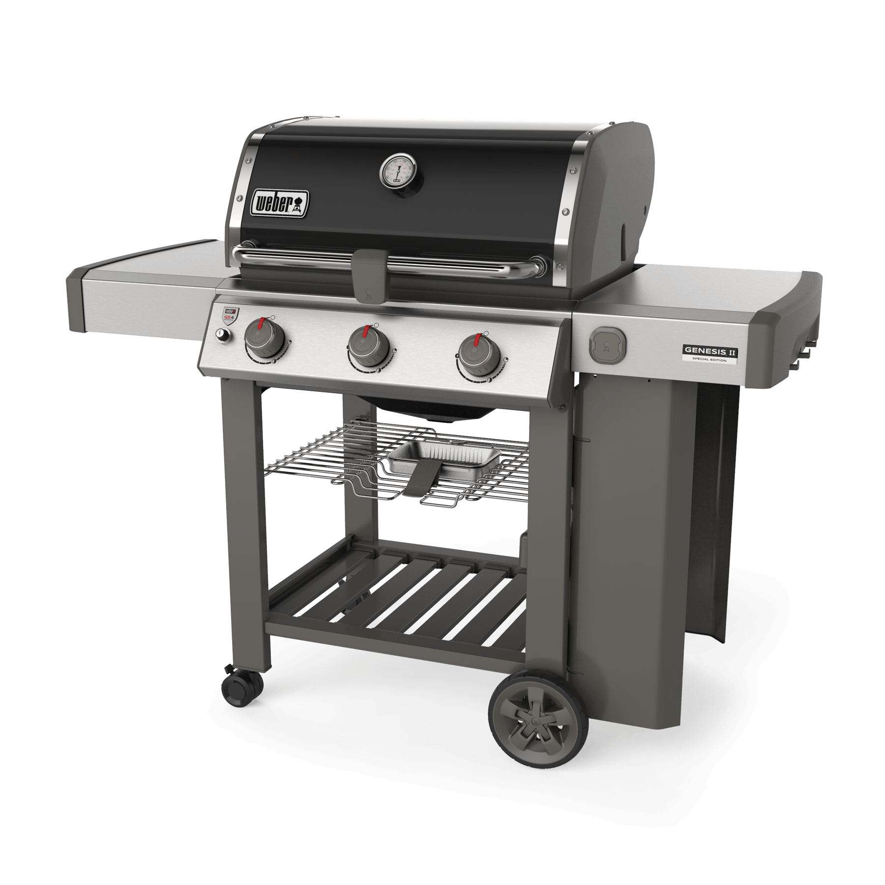 weber genesis 11 e310