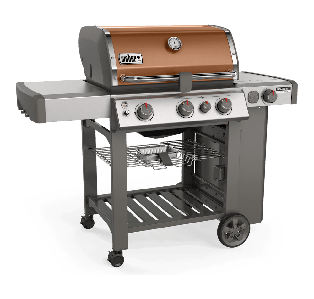 Copertura Per Barbecue A Gas Weber: Proteggi La Tua Griglia - Foto 3