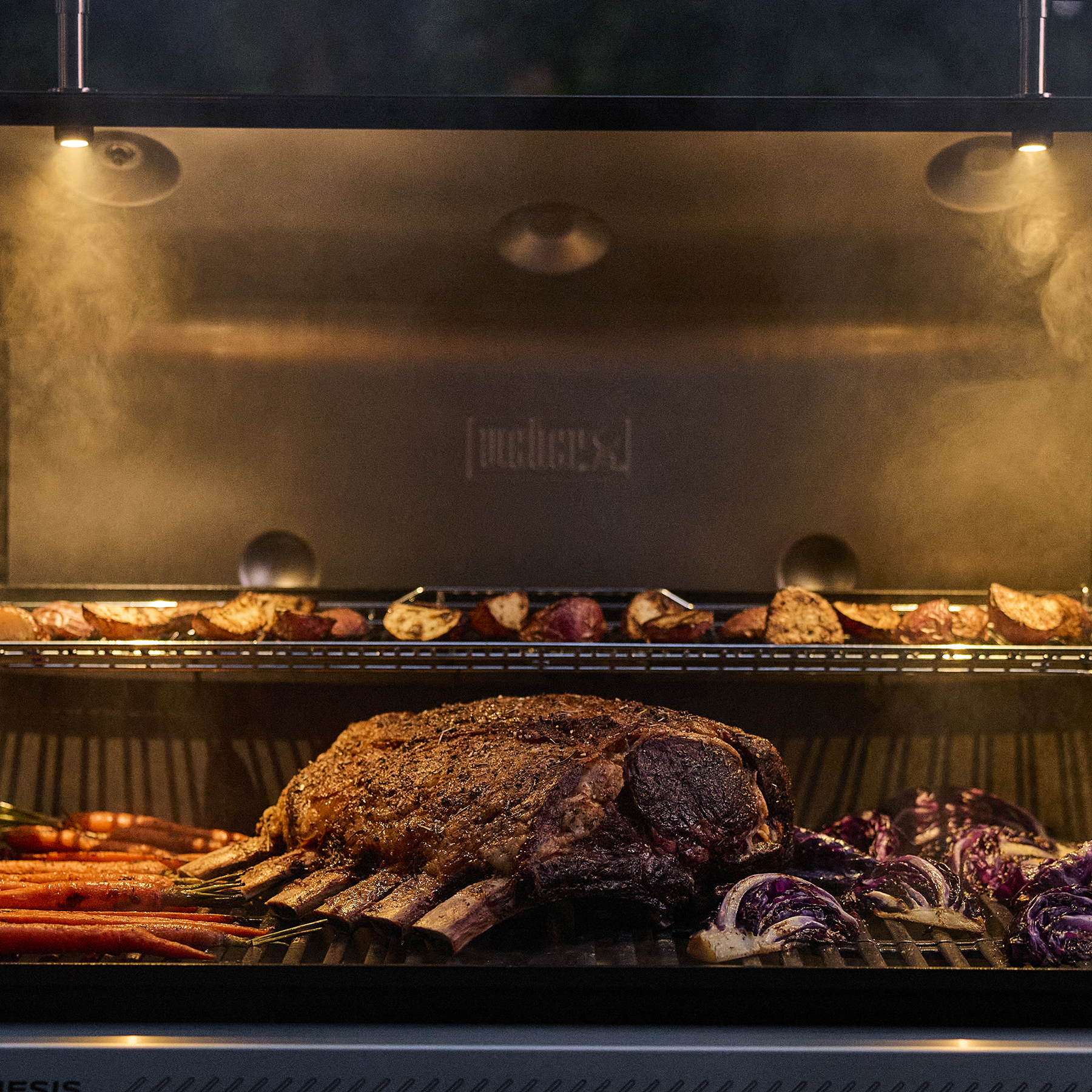 Genesis® EP-335W Gasgrill | Weber CH