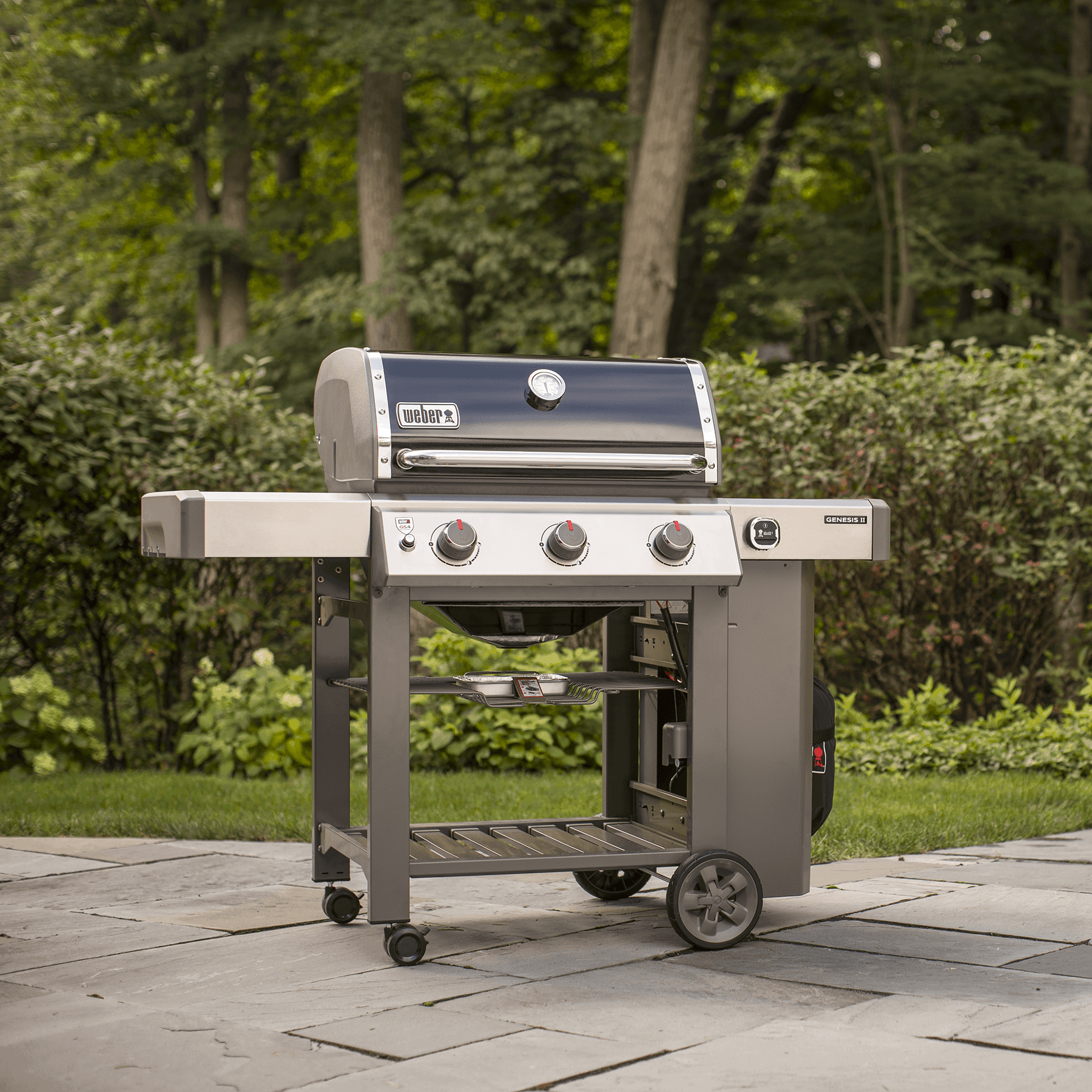 genesis barbeque