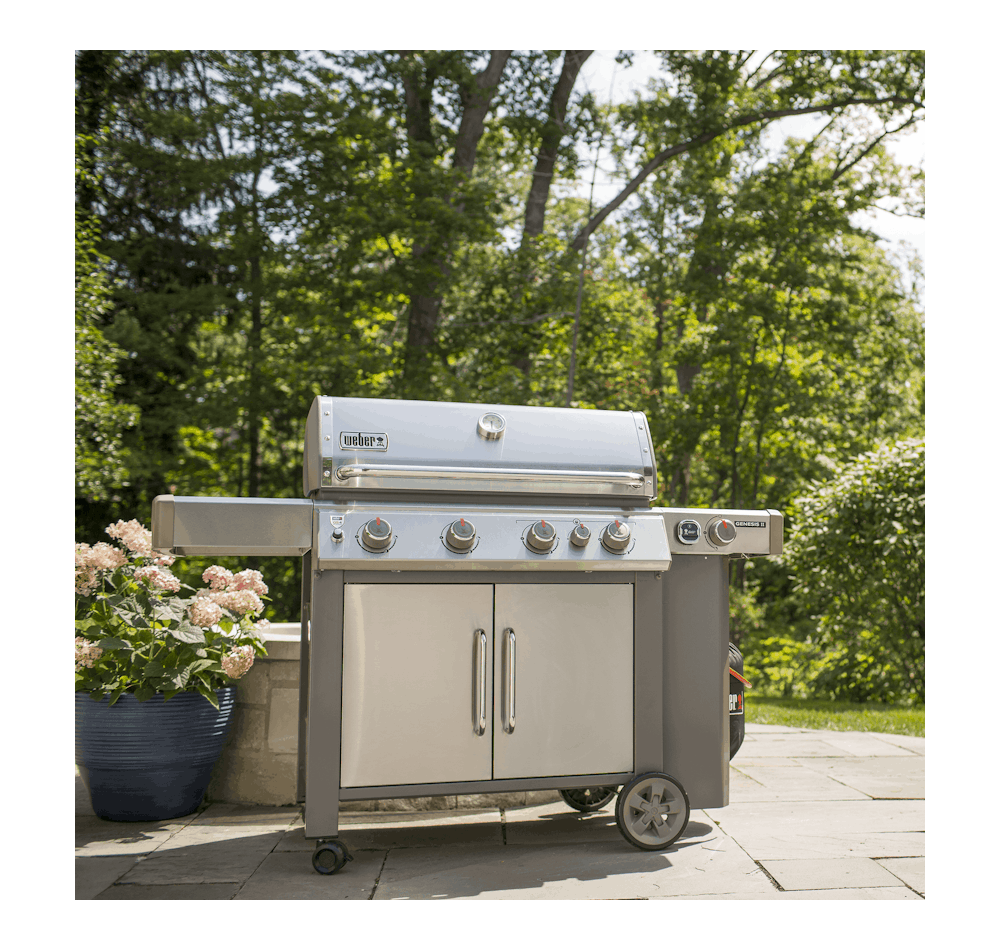 Weber genesis ii hot sale 435