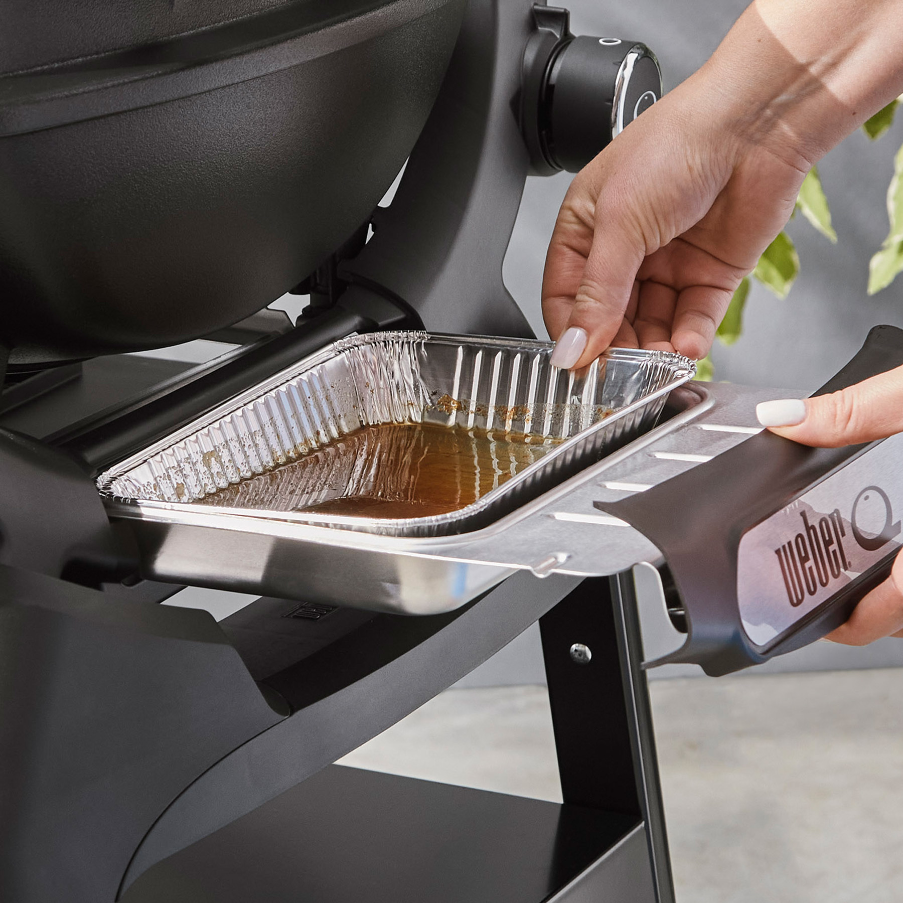 Q 1200N Gas Grill (Liquid Propane) | Weber CA