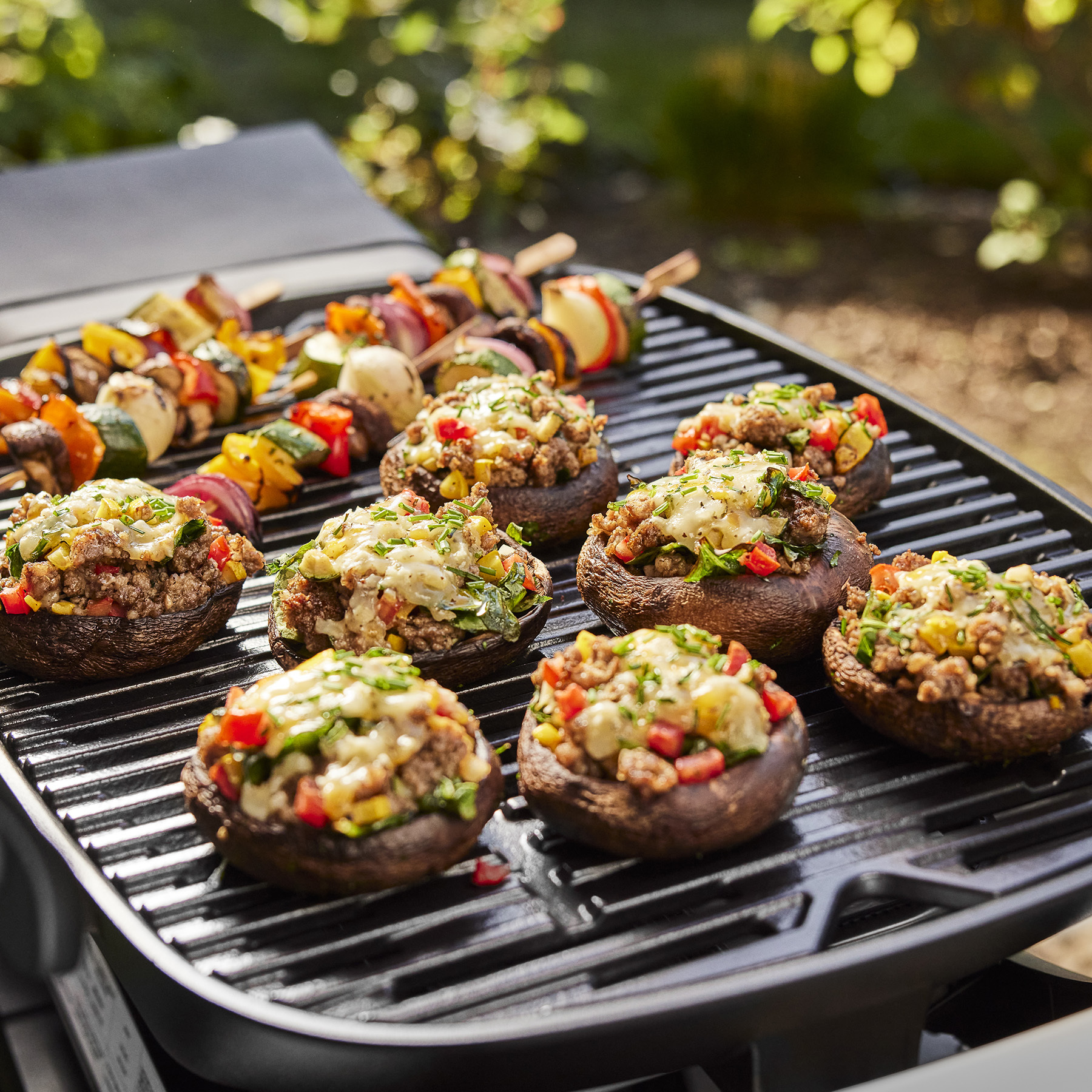 Q 1200N Gas Grill (Liquid Propane) | Weber CA