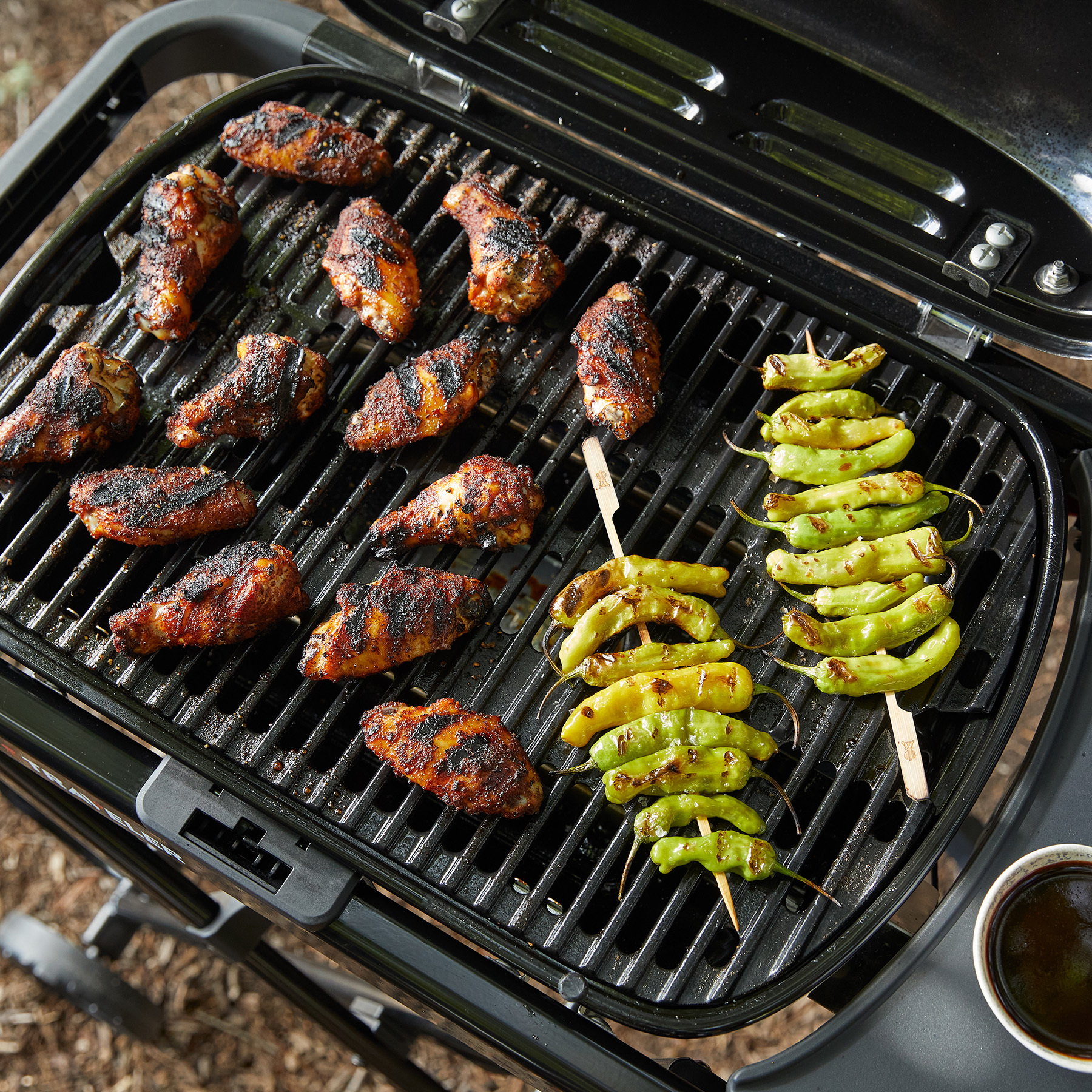 WEBER TRAVELER® COMPACT Portable Gas Grill