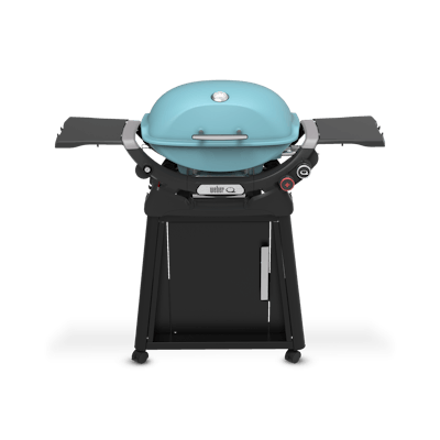 New 2025 weber bbq