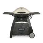 Weber® Q 3200 Gas Grill image number 0