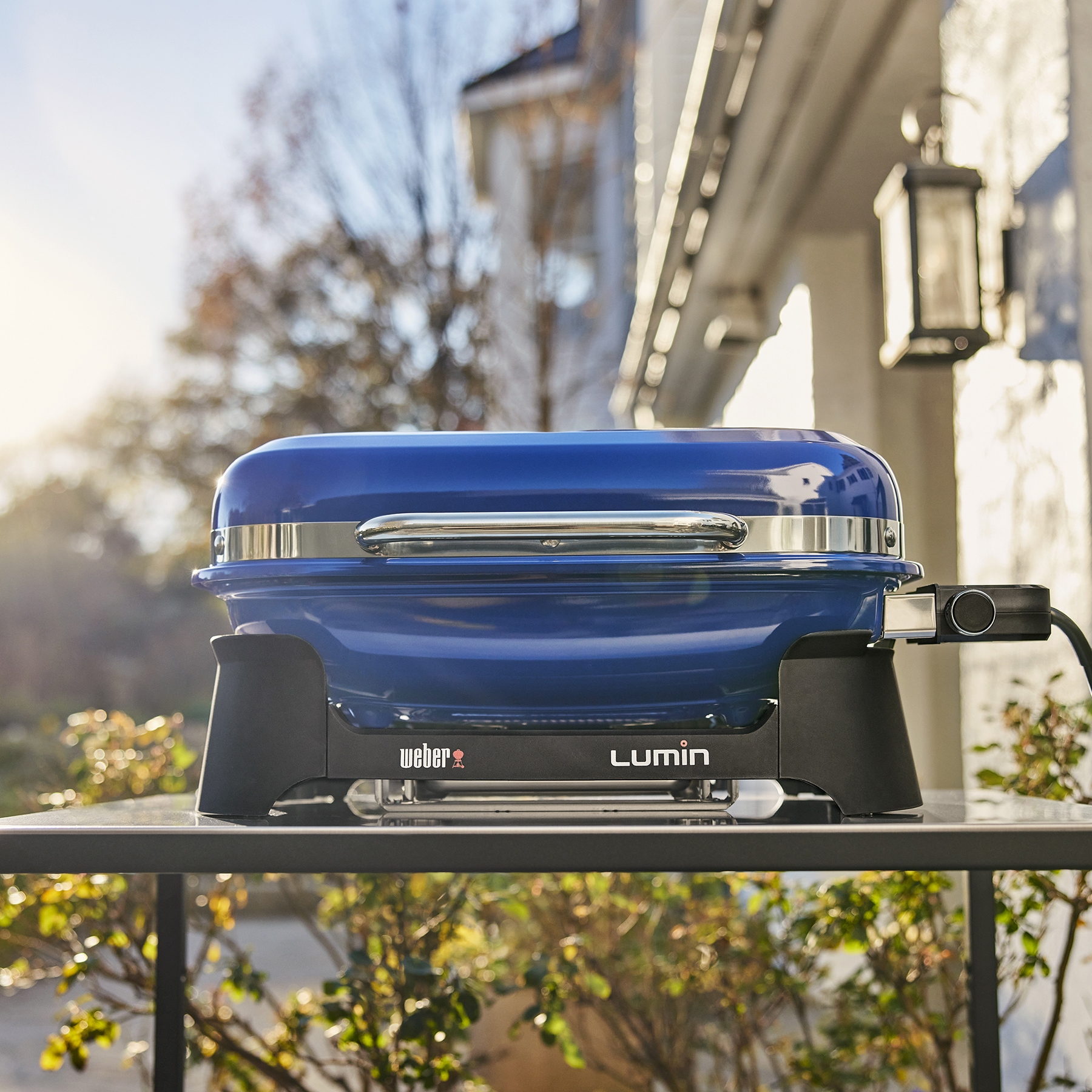 Weber 2024 grill blue