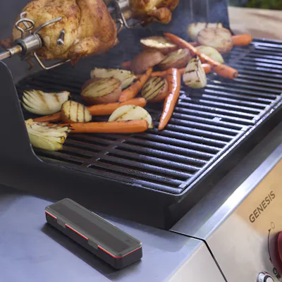 Sonde de temp&eacute;rature sans fil intelligente Plus avec r&eacute;p&eacute;teur et chargeur-view 1