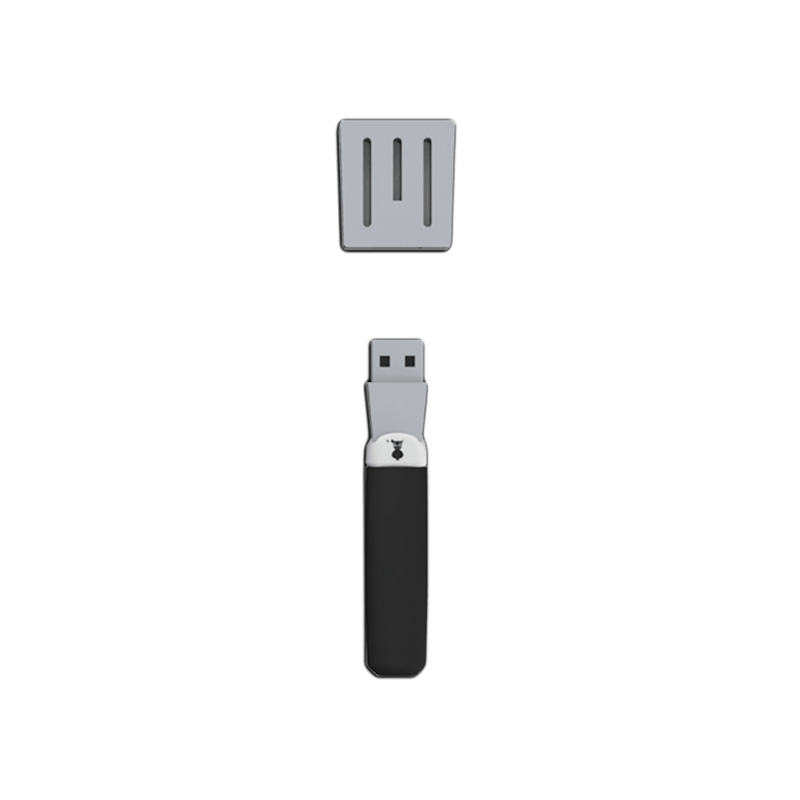 Stekspadeformat USB-minne image number 0