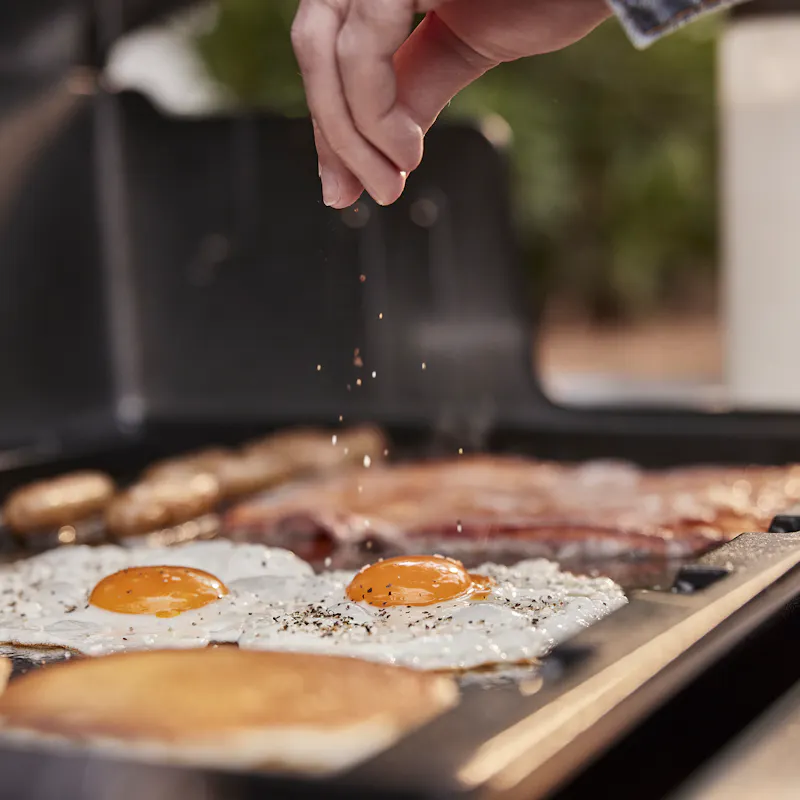 Gro&szlig;e Genesis Plancha &ndash; Serie 400 image number 6