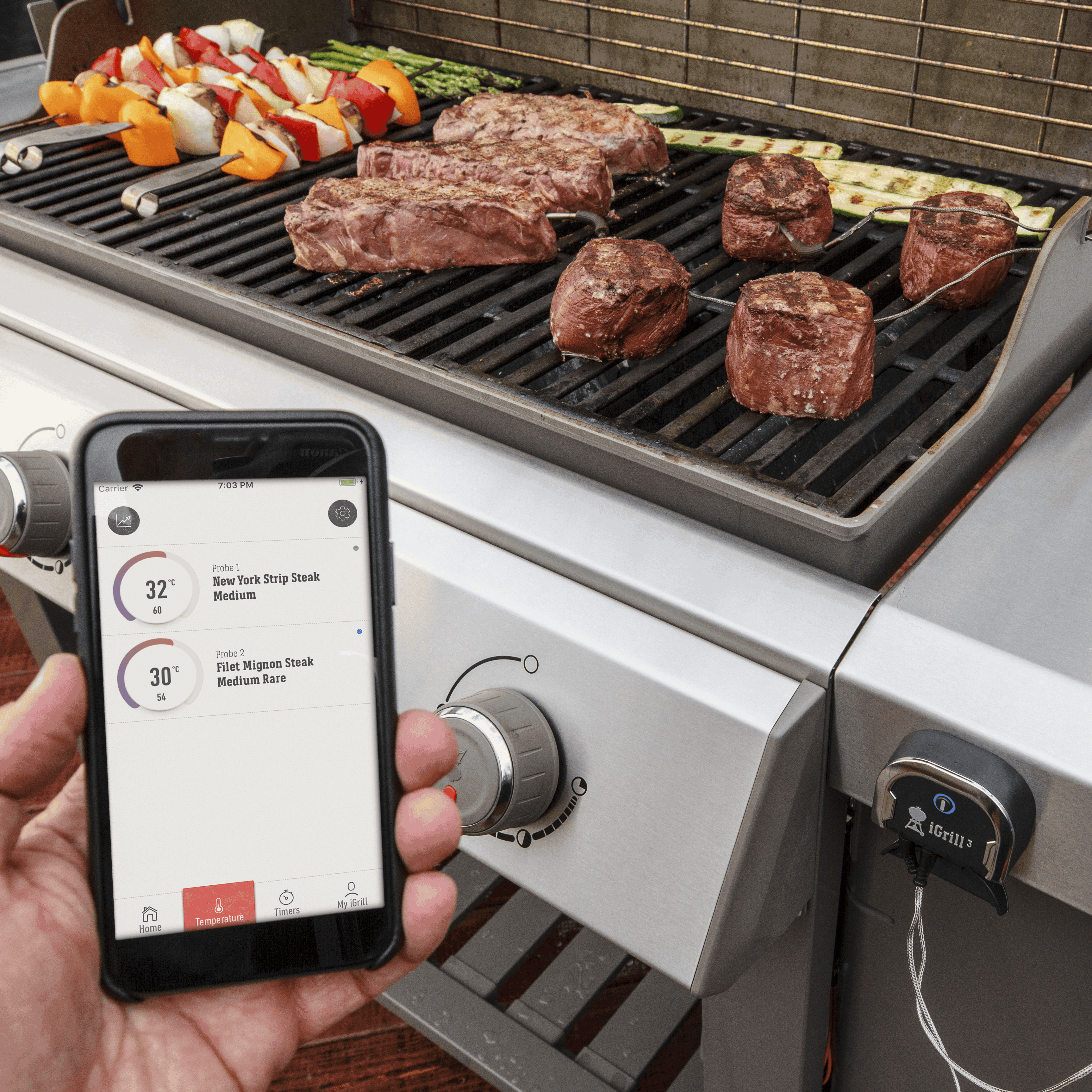 char broil electric bbq