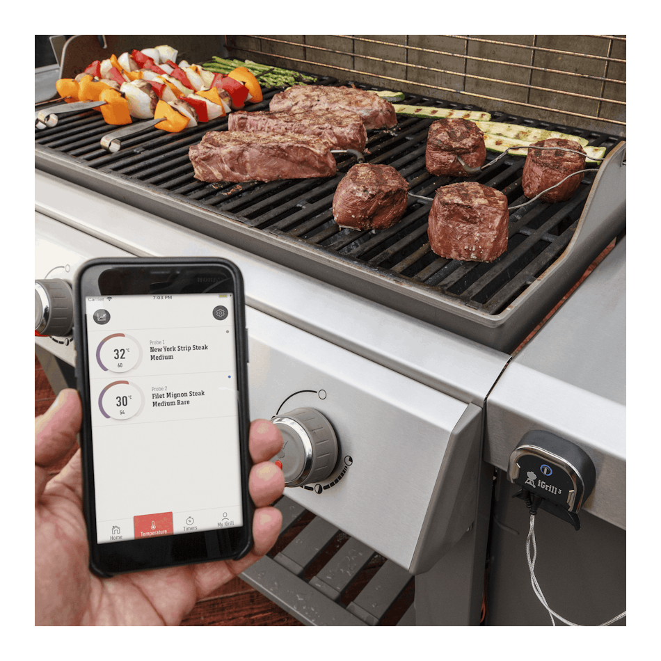 Weber iGrill 3 Grill Thermometer