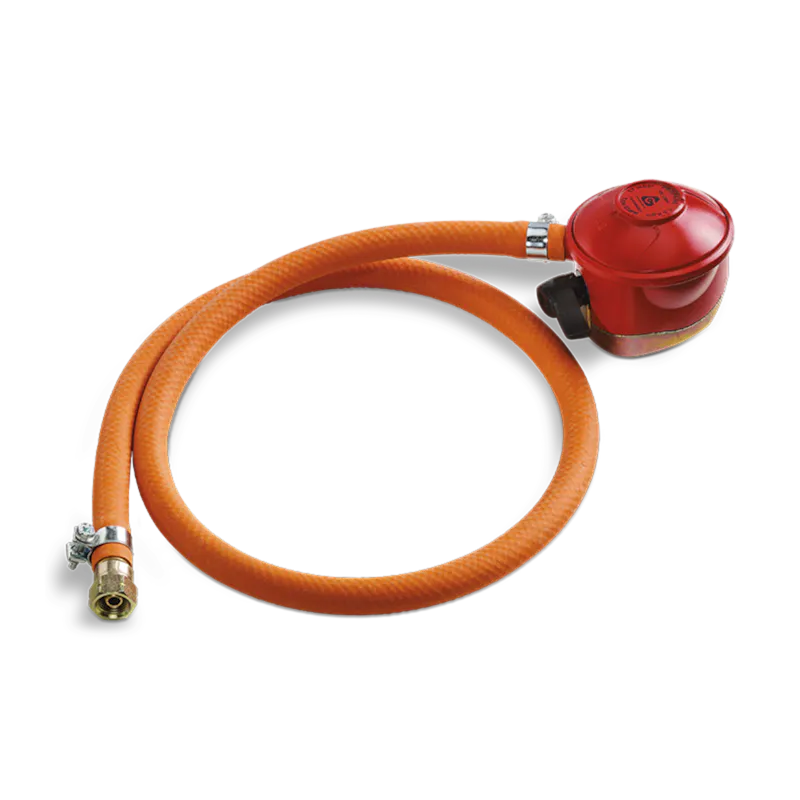 Weber 3m Stainless Steel Gas Extension Hose – For Q Grills, Regulator & Bayonet (Silver)