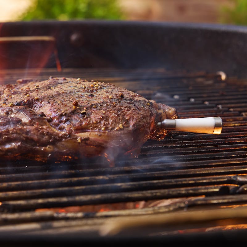 Sonde de temp&eacute;rature sans fil intelligente Plus avec r&eacute;p&eacute;teur et chargeur image number 6