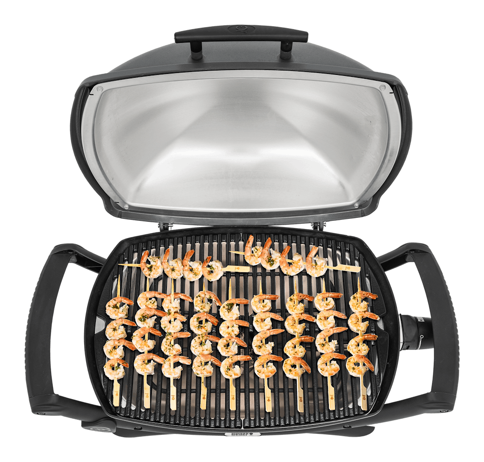 2400 Electric Grill | Q Electric | Electric Grills - HK