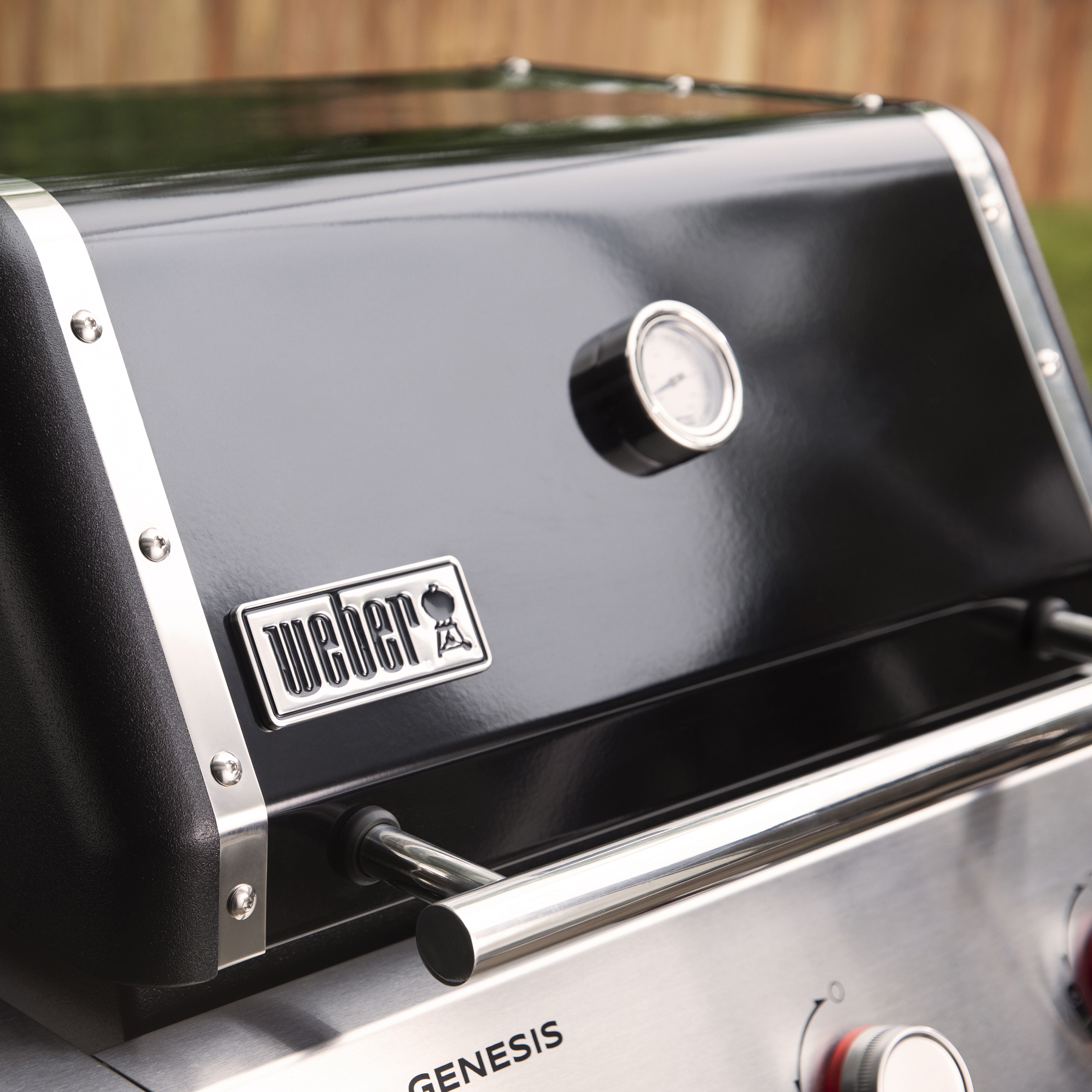 GENESIS E315 Gas Grill (Liquid Propane)