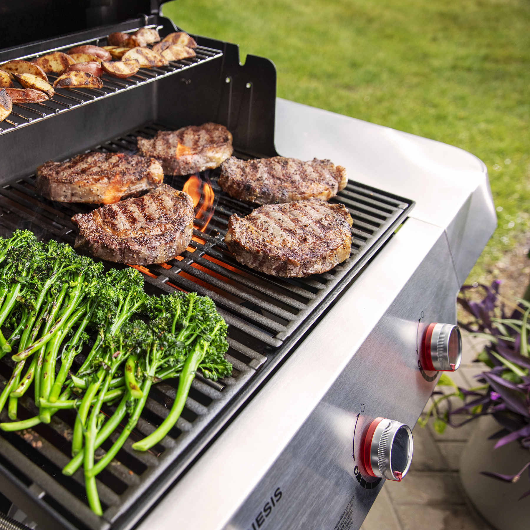 Weber genesis clearance barbecue