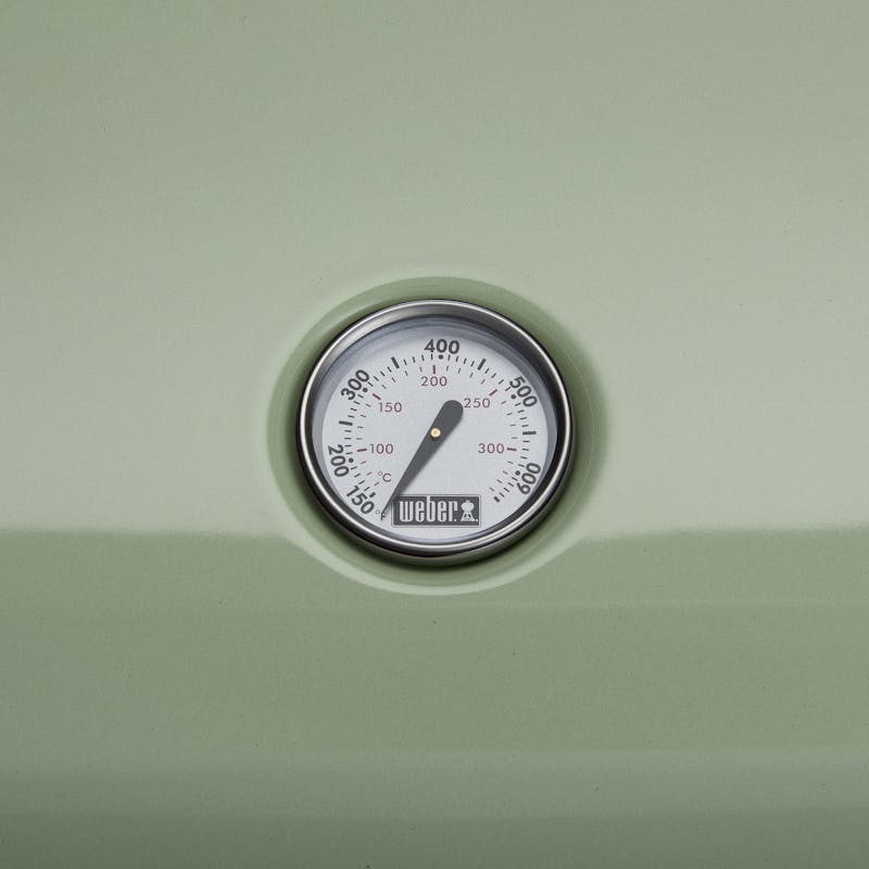 https://product-images.weber.com/grill-features/2023-Lumin/Lumin_Thermometer_Light_Green_F_1800x1800.jpg?w=800&h=800&auto=compress%2Cformat