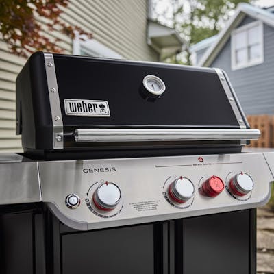 Genesis E-330 Gas Grill (Natural Gas)-view 1