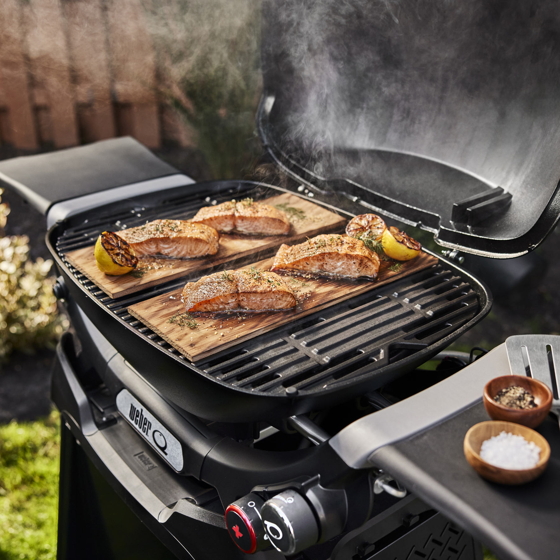 Weber q cheap barbecue