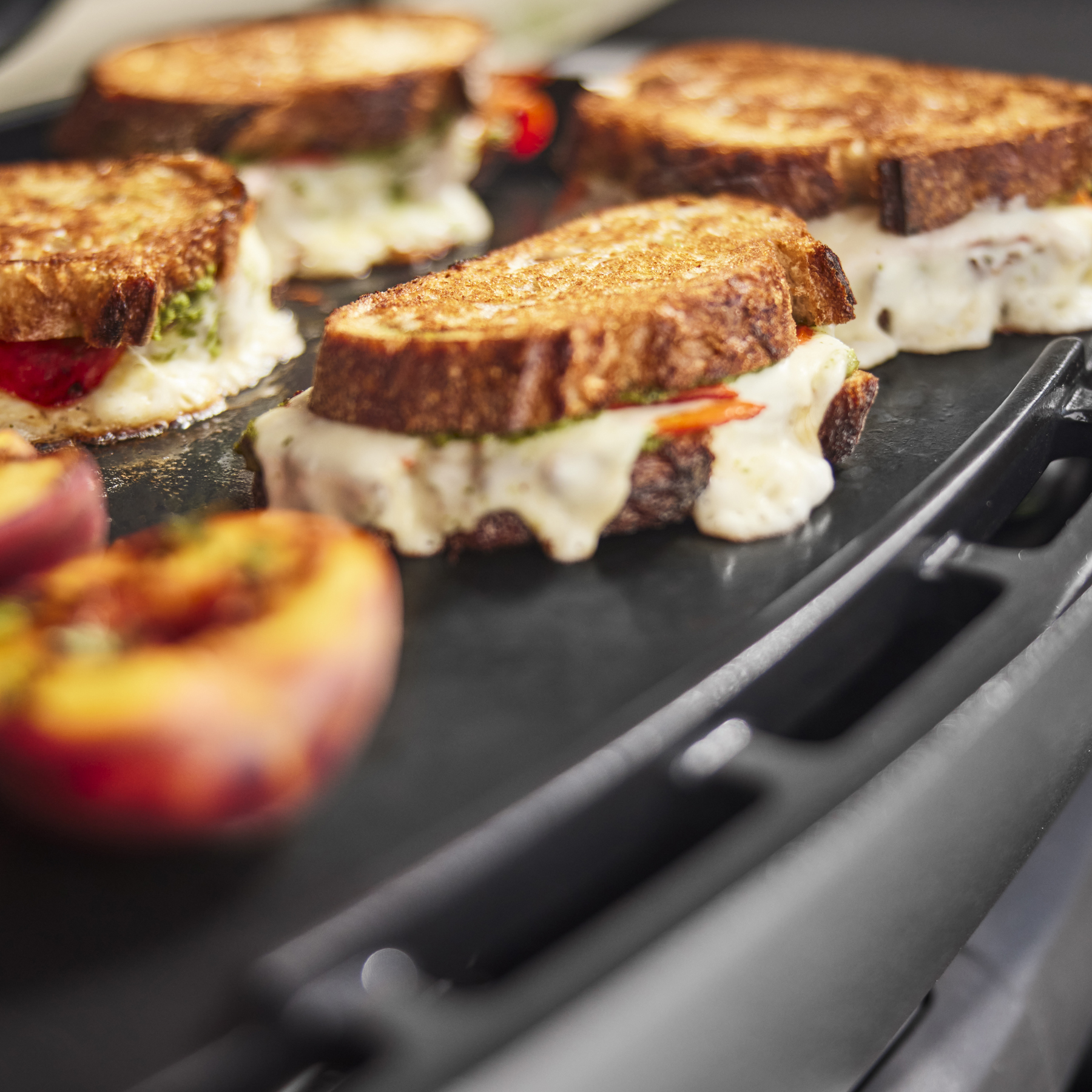 Q 2800N+ Gas Grill (Liquid Propane)