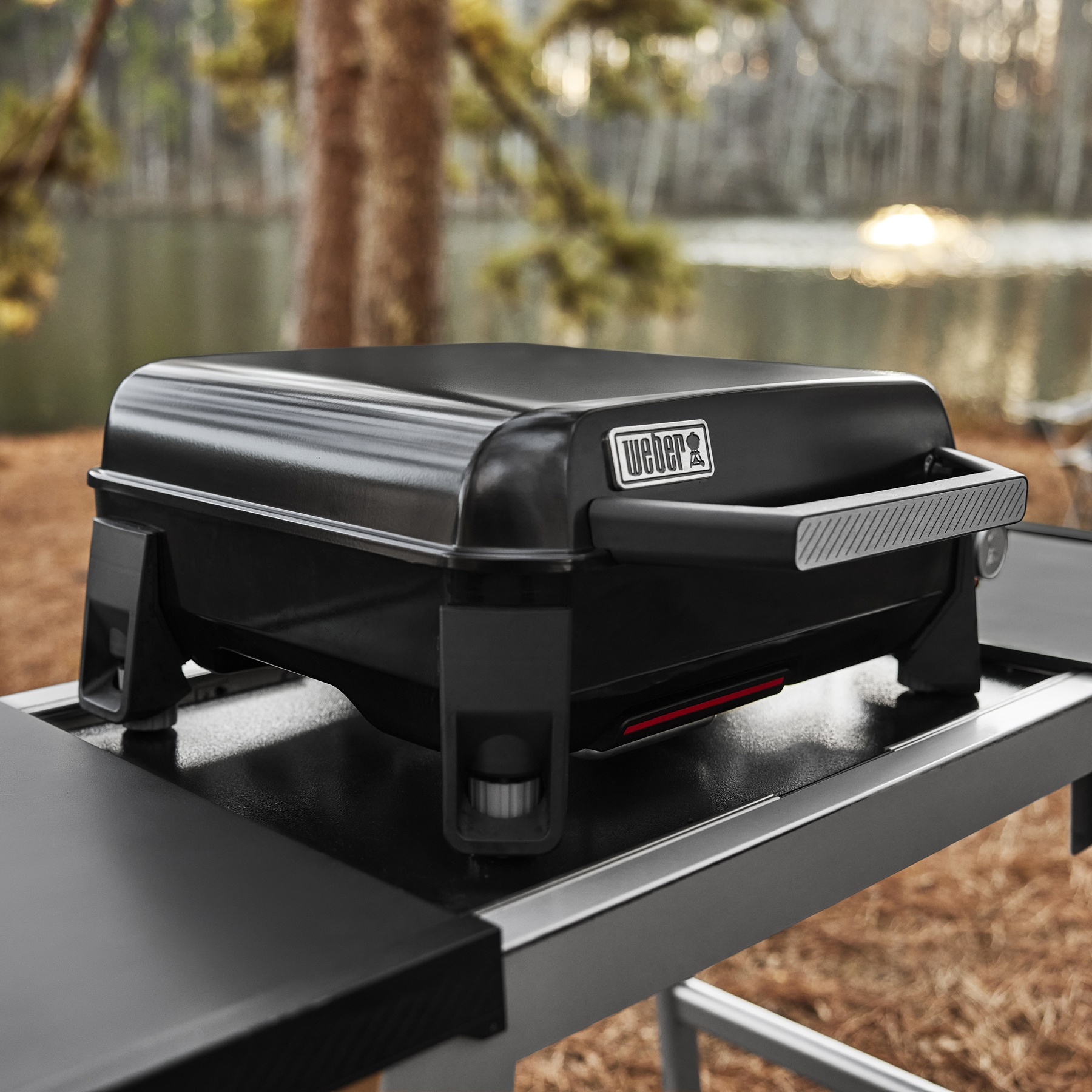 Portable grill weber best sale