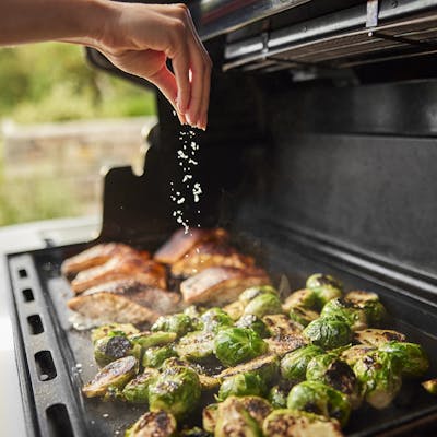 Summit® FS38 E Gas Grill (Natural Gas)-view 1