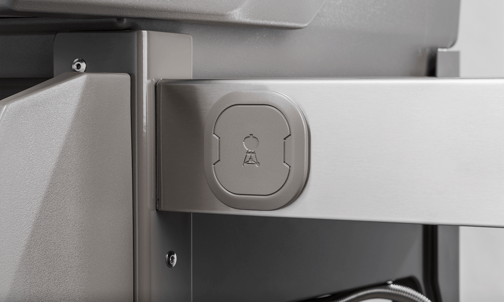 Compatibile con iGrill 3