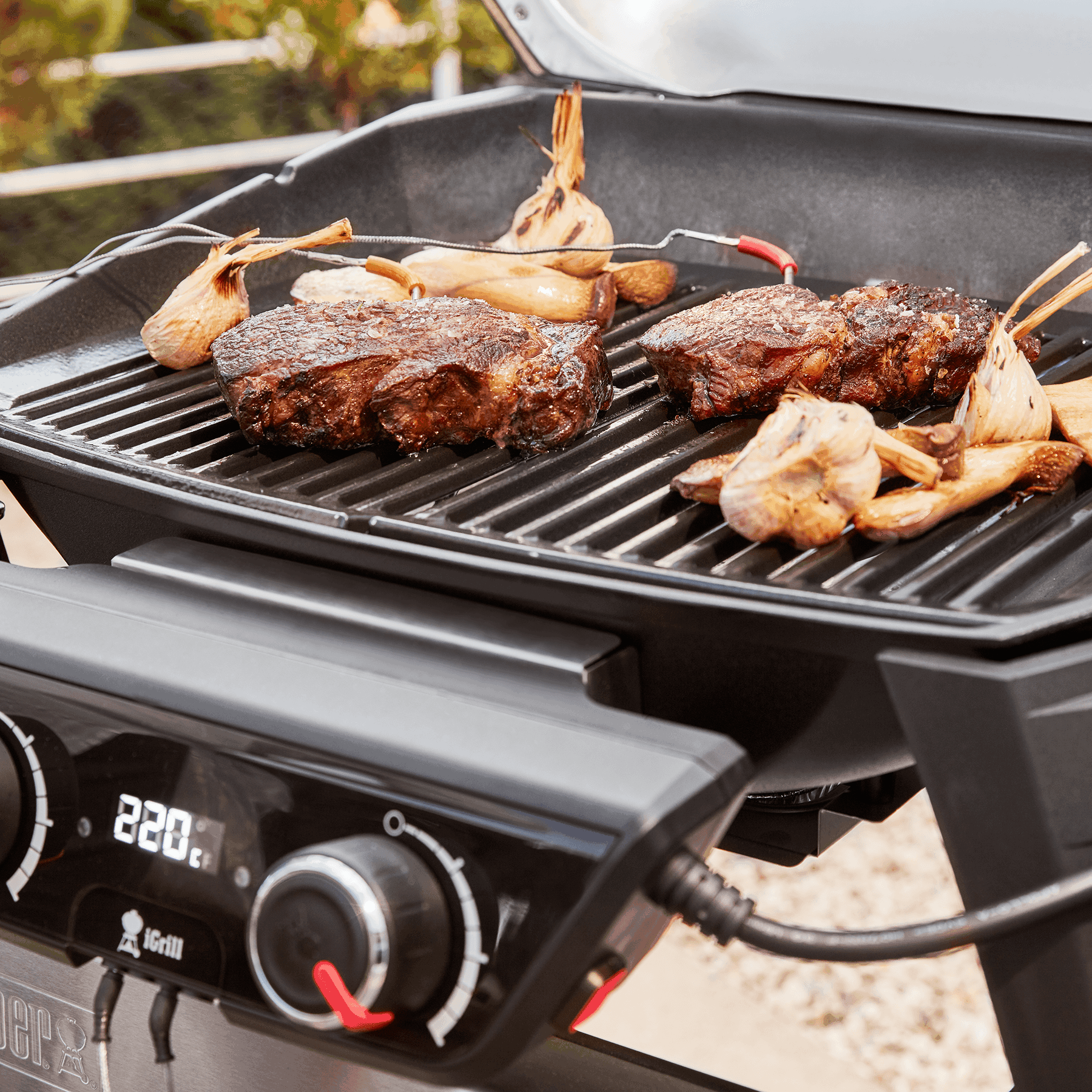 Pulse 2000 Barbecue with Cart | Official Weber® Website